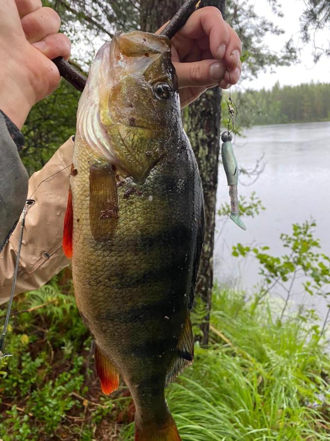 Vuoriniemi Saimaa Raikalaヴィラ エクステリア 写真